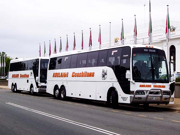 Business Corporate Transport in Adelaide
